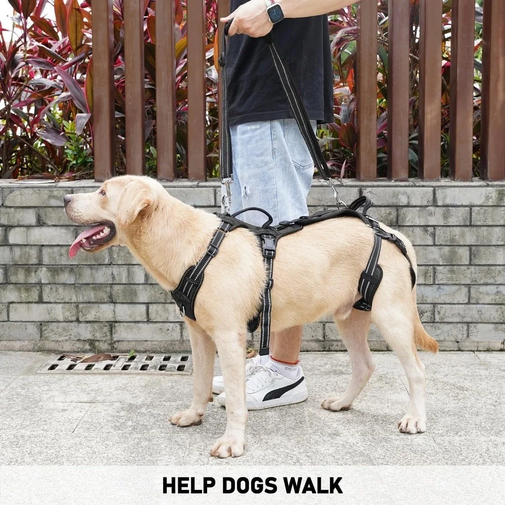 COODEO Small Dog Lift Harness Polyester Rear Leg Support Rehab Sling‎ Black